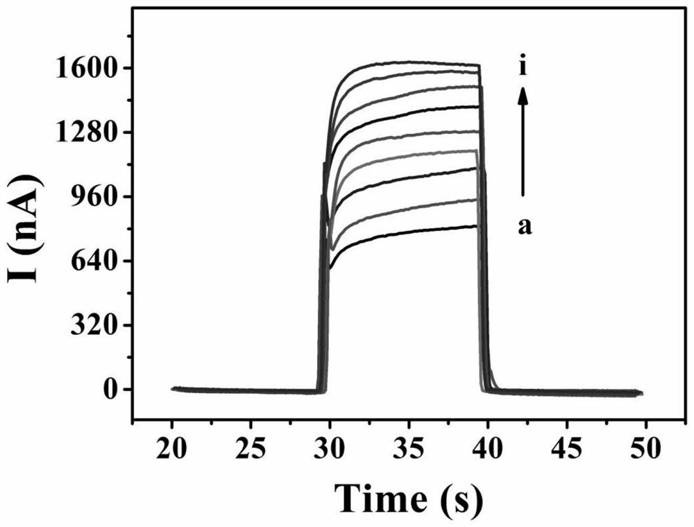 Method for detecting 5-hydroxymethylcytosine by constructing photoelectrochemical sensor based on perovskite and black zirconium dioxide