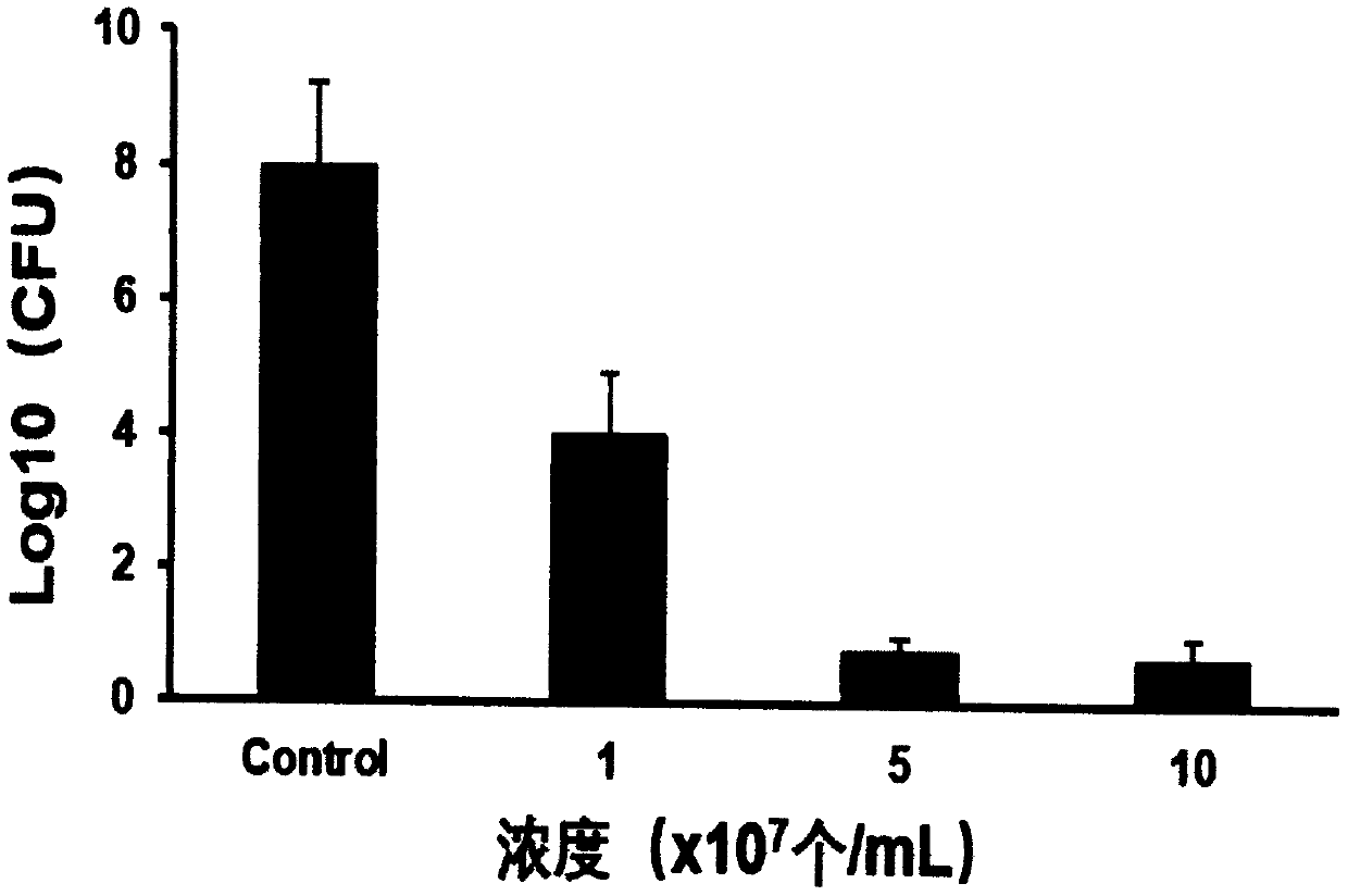 Method for inhibiting and removing biofilm