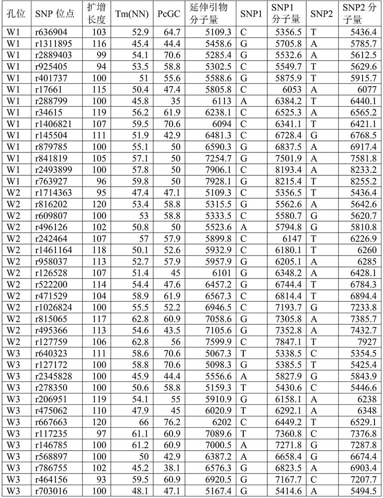 SNP primer group for individual recognition and paternity tests in pandas and applications