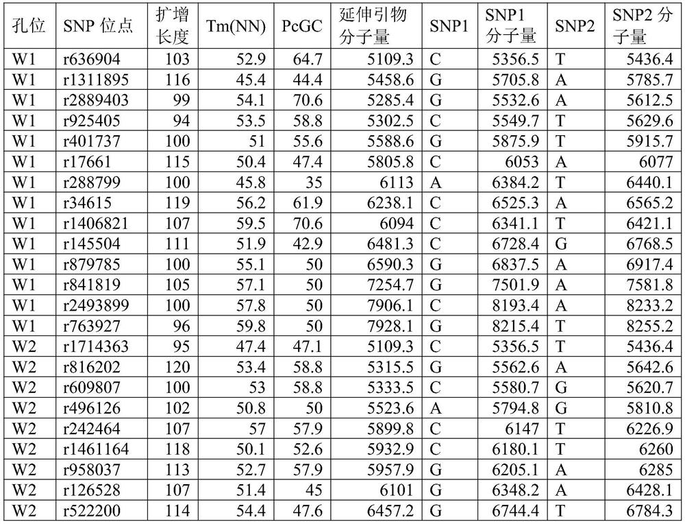 SNP primer group for individual recognition and paternity tests in pandas and applications