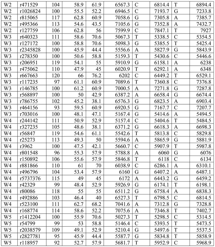 SNP primer group for individual recognition and paternity tests in pandas and applications