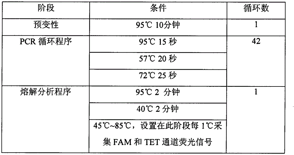 B-raf gene V600E mutation detection method