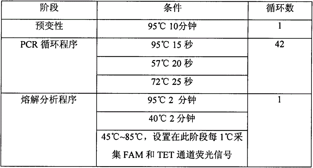 B-raf gene V600E mutation detection method