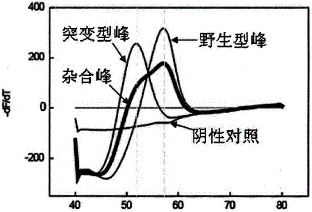 B-raf gene V600E mutation detection method