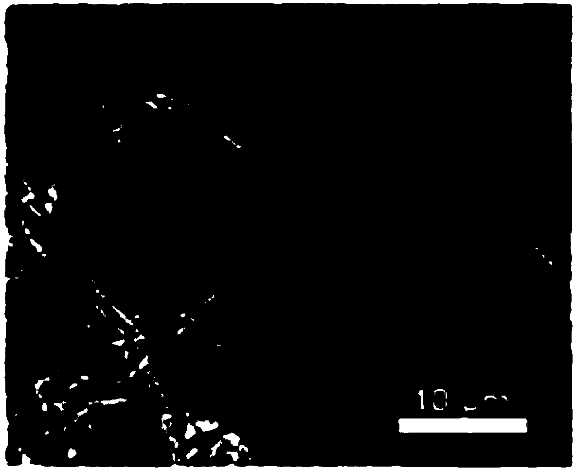 Three-dimensional bionic bone repair material and preparation method thereof