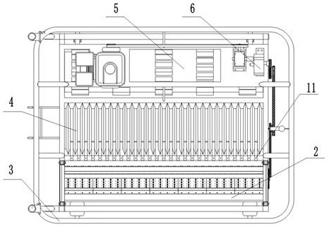 Ginseng precision seeder