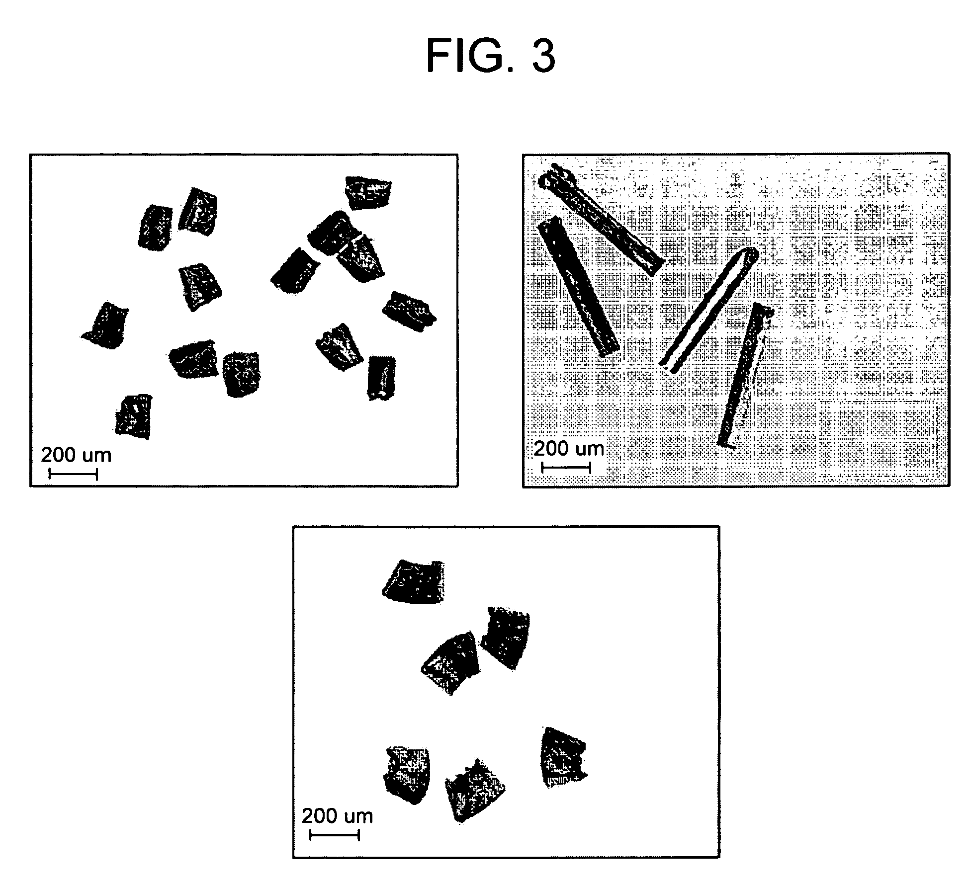 Tool holder assembly and method for modulation-assisted machining