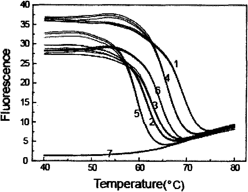 Method for detecting human beta-globin gene mutation