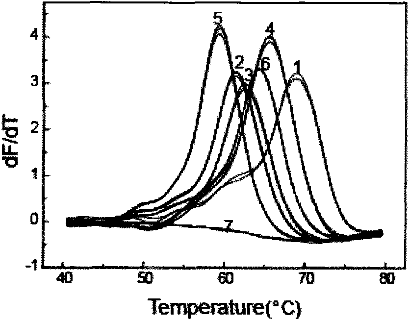 Method for detecting human beta-globin gene mutation