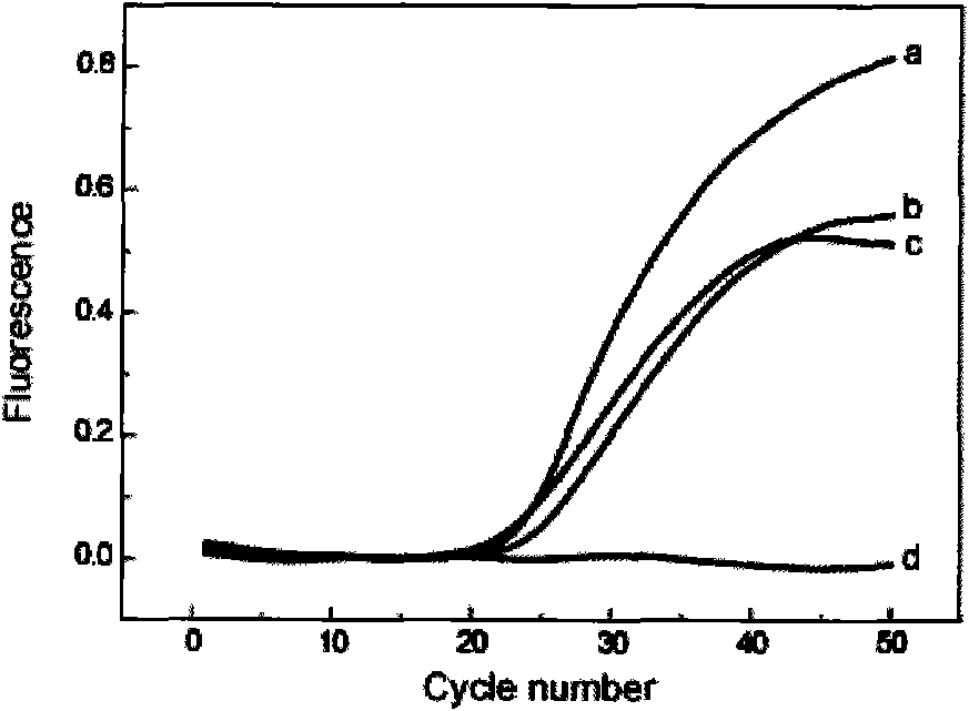 Method for detecting human beta-globin gene mutation