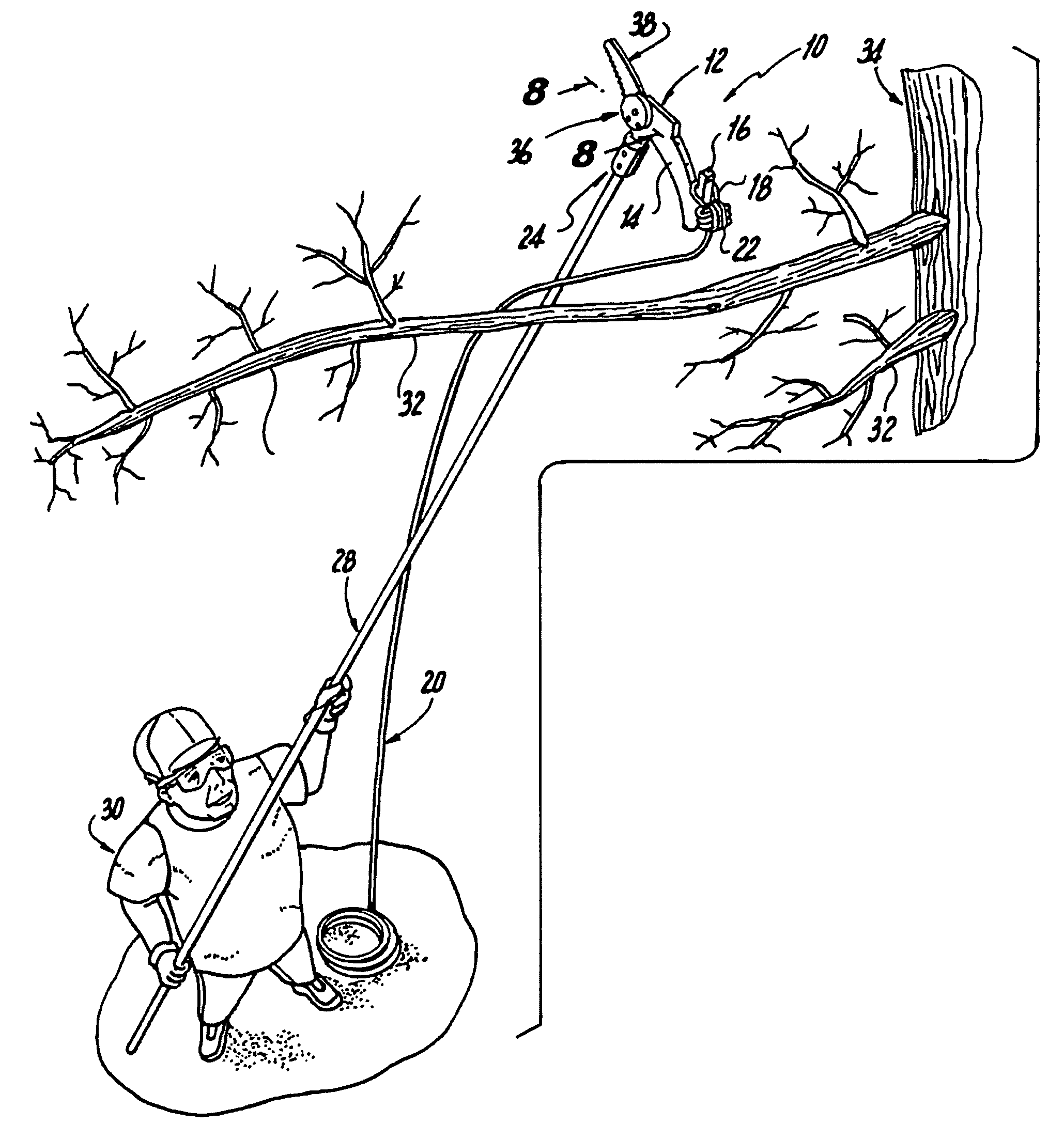 Pole saw head having a rope setting auxiliary hook