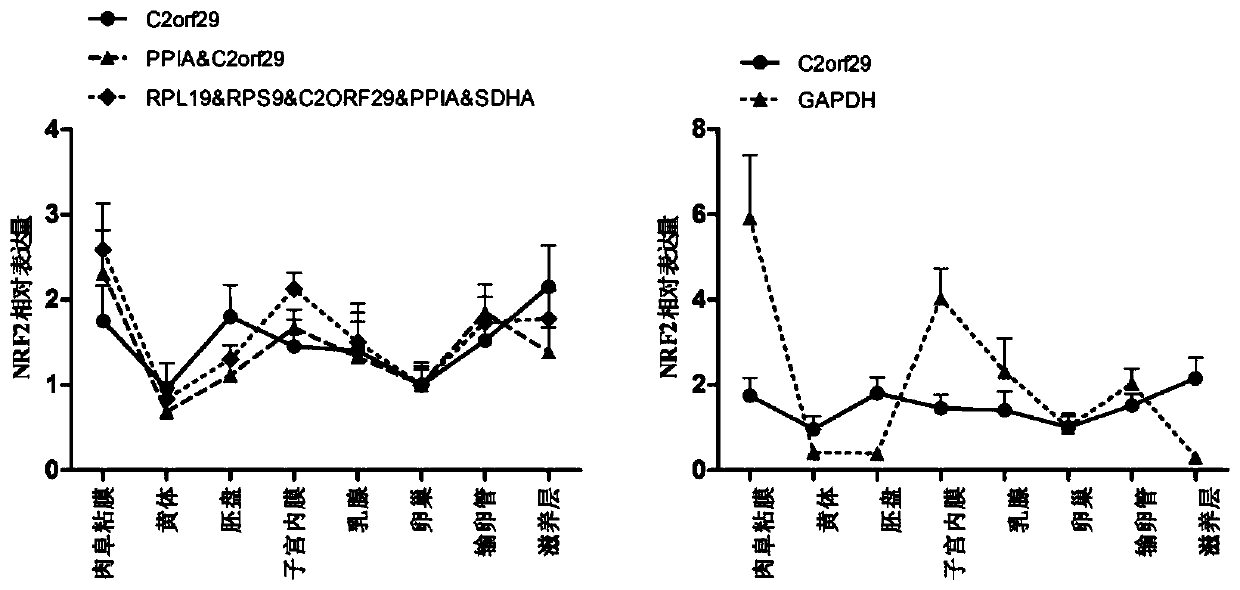 Screening of reference genes for quantitative PCR (polymerase chain reaction) detection of bovine reproductive system and embryo tissues and application of screening