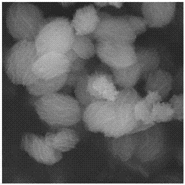 Three-dimensional nanometer tricobalt tetraoxide, preparation method and application