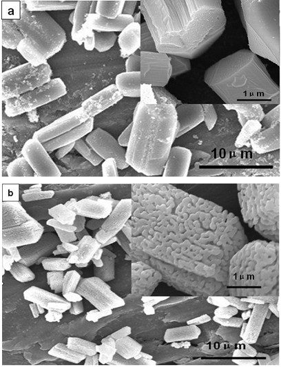 Porous iron oxide structured by nanocrystals and preparation method thereof