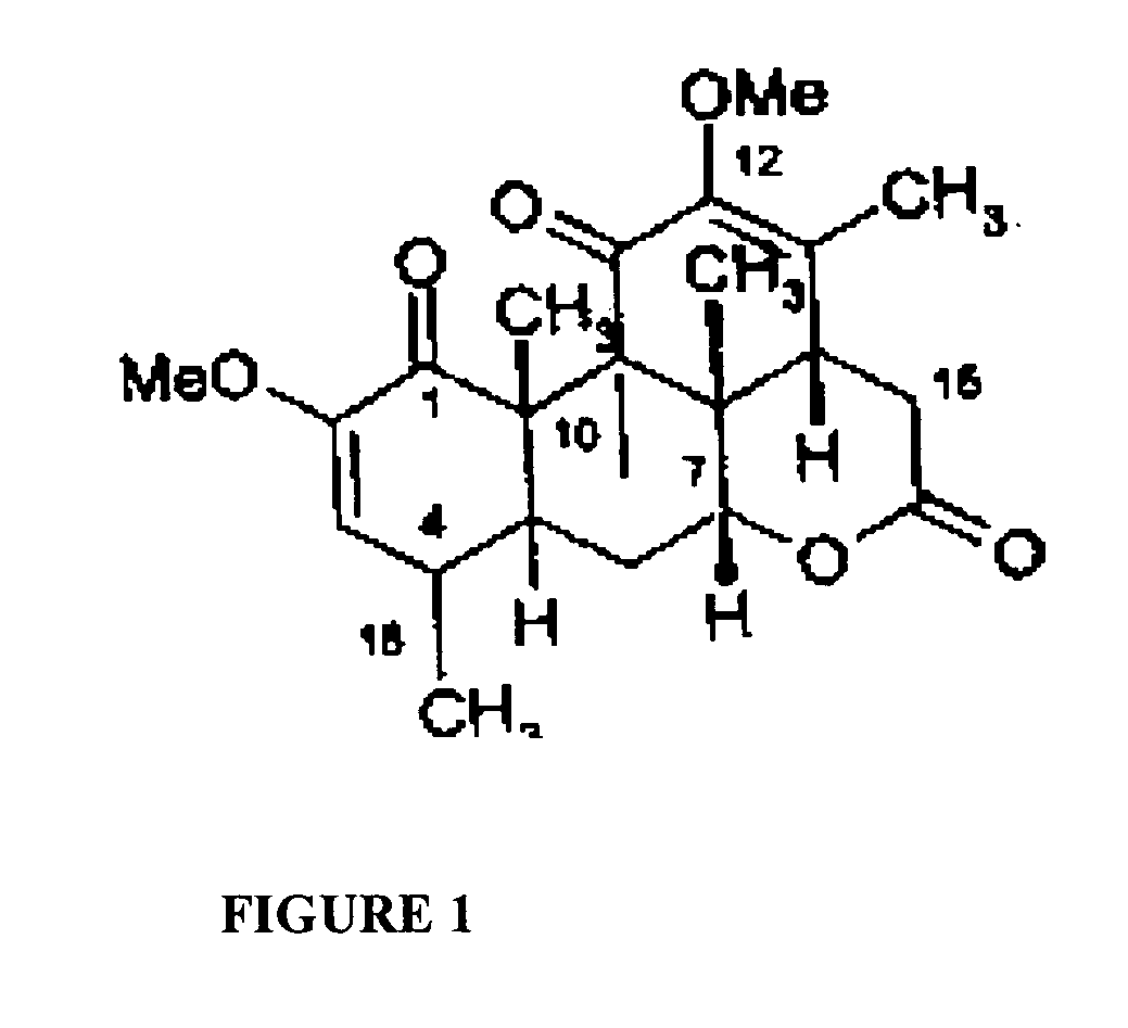 Process to extract quassinoids