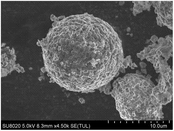 Method for preparing high-rate nickel cobalt lithium aluminate anode material