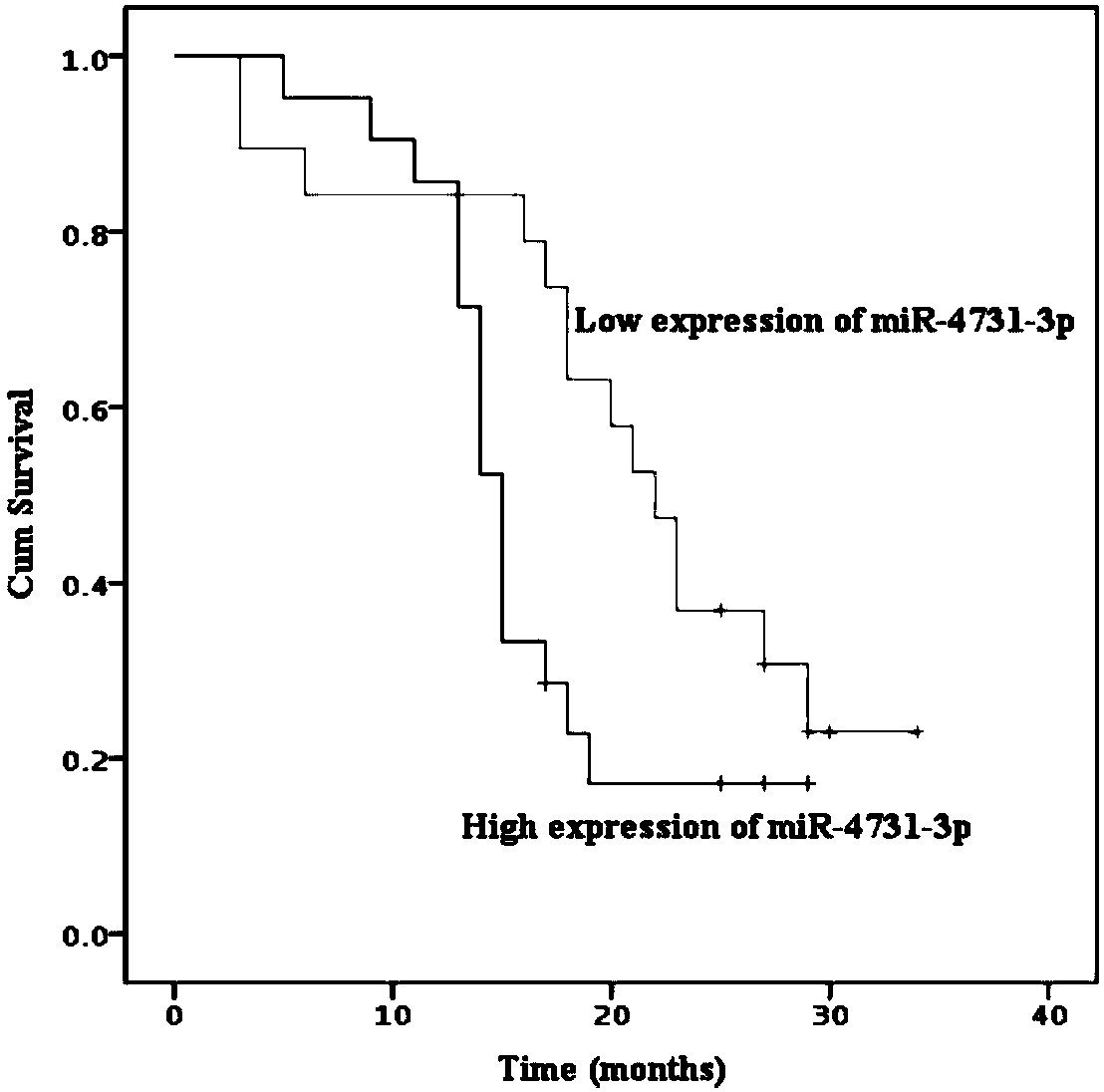 Application of miRNA-4731-3p as diagnostic marker for primary lung cancer