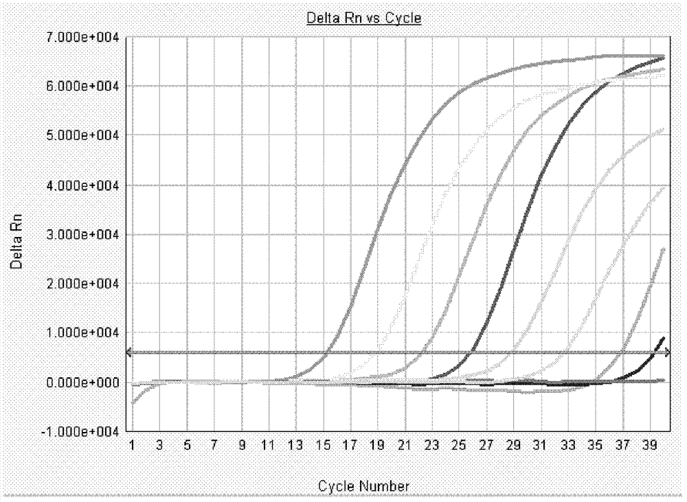 Detection method of BK virus as well as kit and application thereof