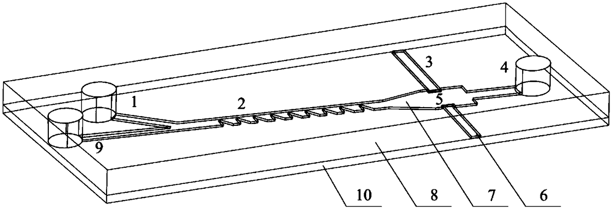 A microfluidic biochip for high-precision cell arrangement and detection