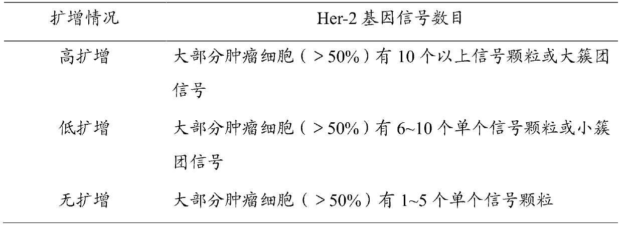 A kind of cDNA in situ hybridization probe of her-2 gene and preparation method thereof