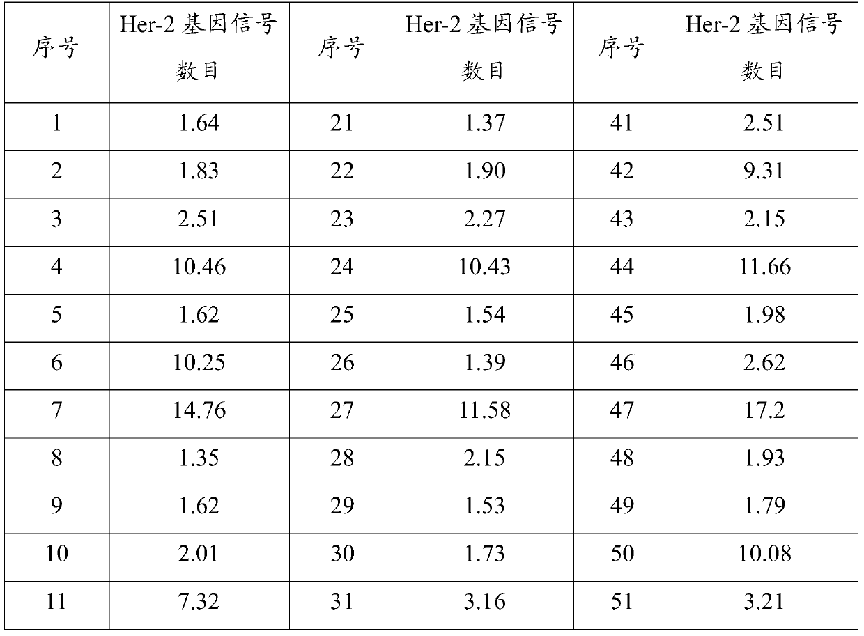 A kind of cDNA in situ hybridization probe of her-2 gene and preparation method thereof