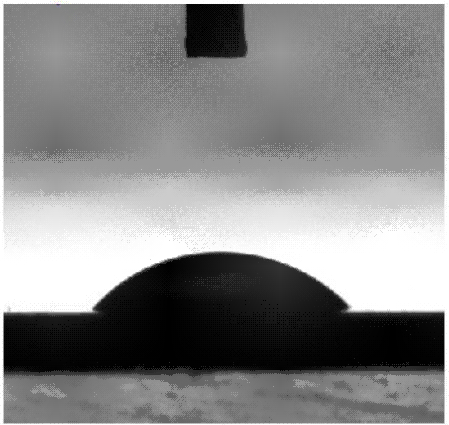 Preparation method and application of persistently hydrophilic polyvinylidene fluoride membrane