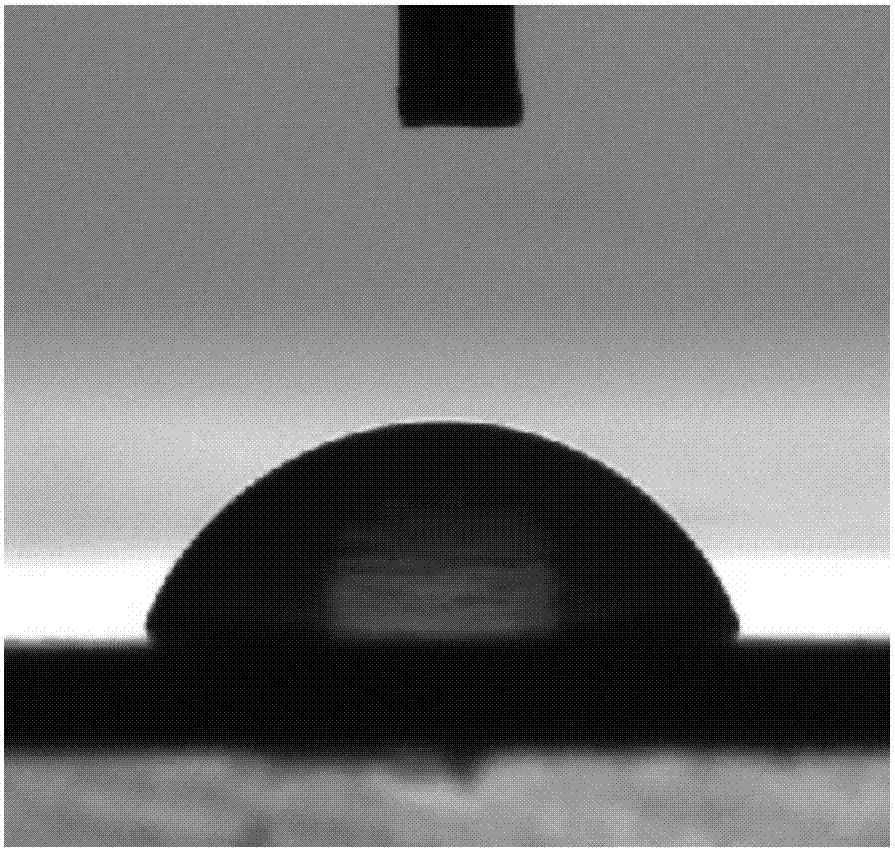 Preparation method and application of persistently hydrophilic polyvinylidene fluoride membrane