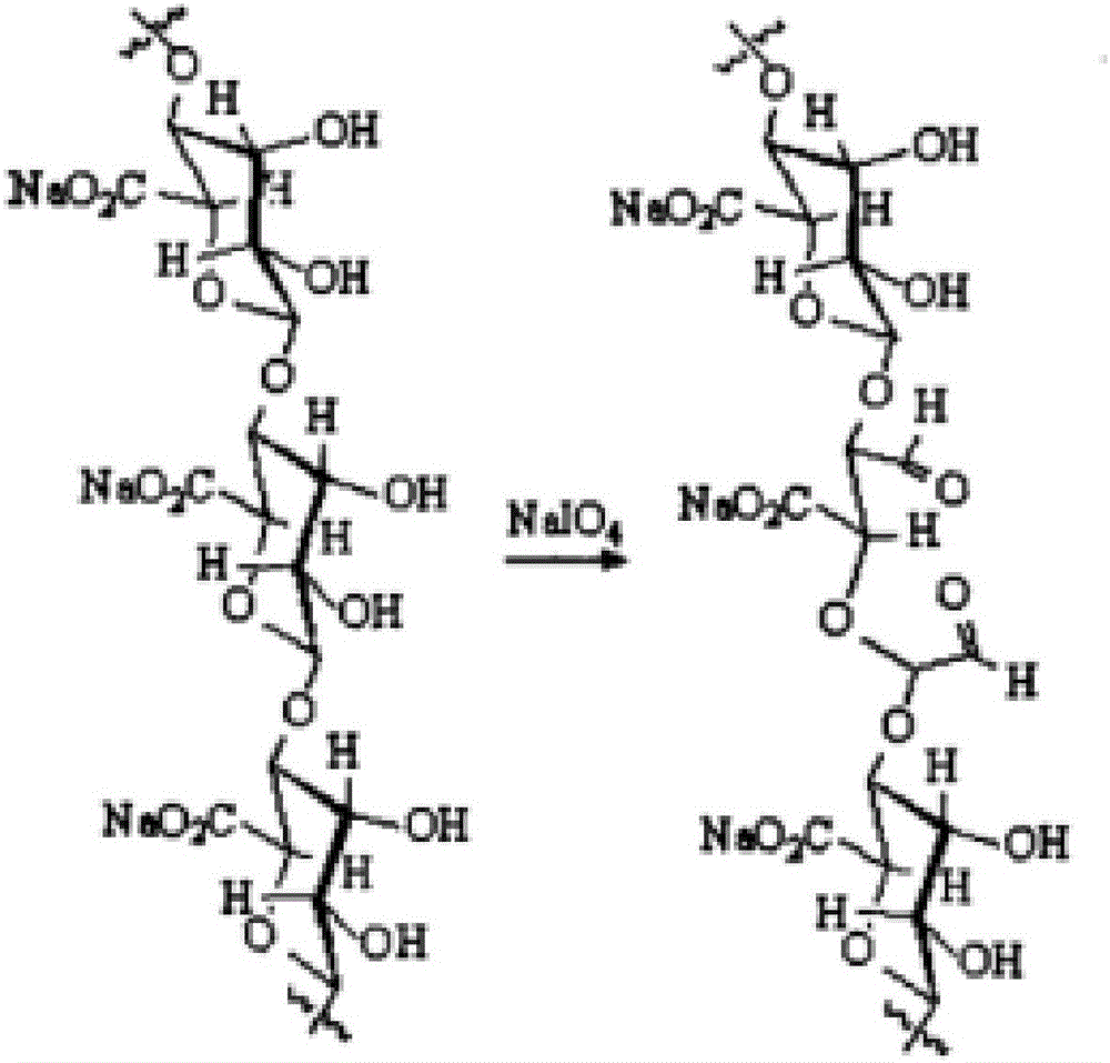 Sodium-alginate-based hydrogel and preparation method thereof