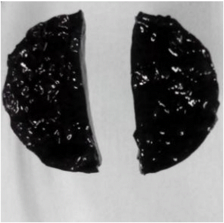 Sodium-alginate-based hydrogel and preparation method thereof