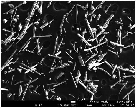 Method for preparing high-purity sodium arsenate from copper smelting smoke dust through alkaline leaching