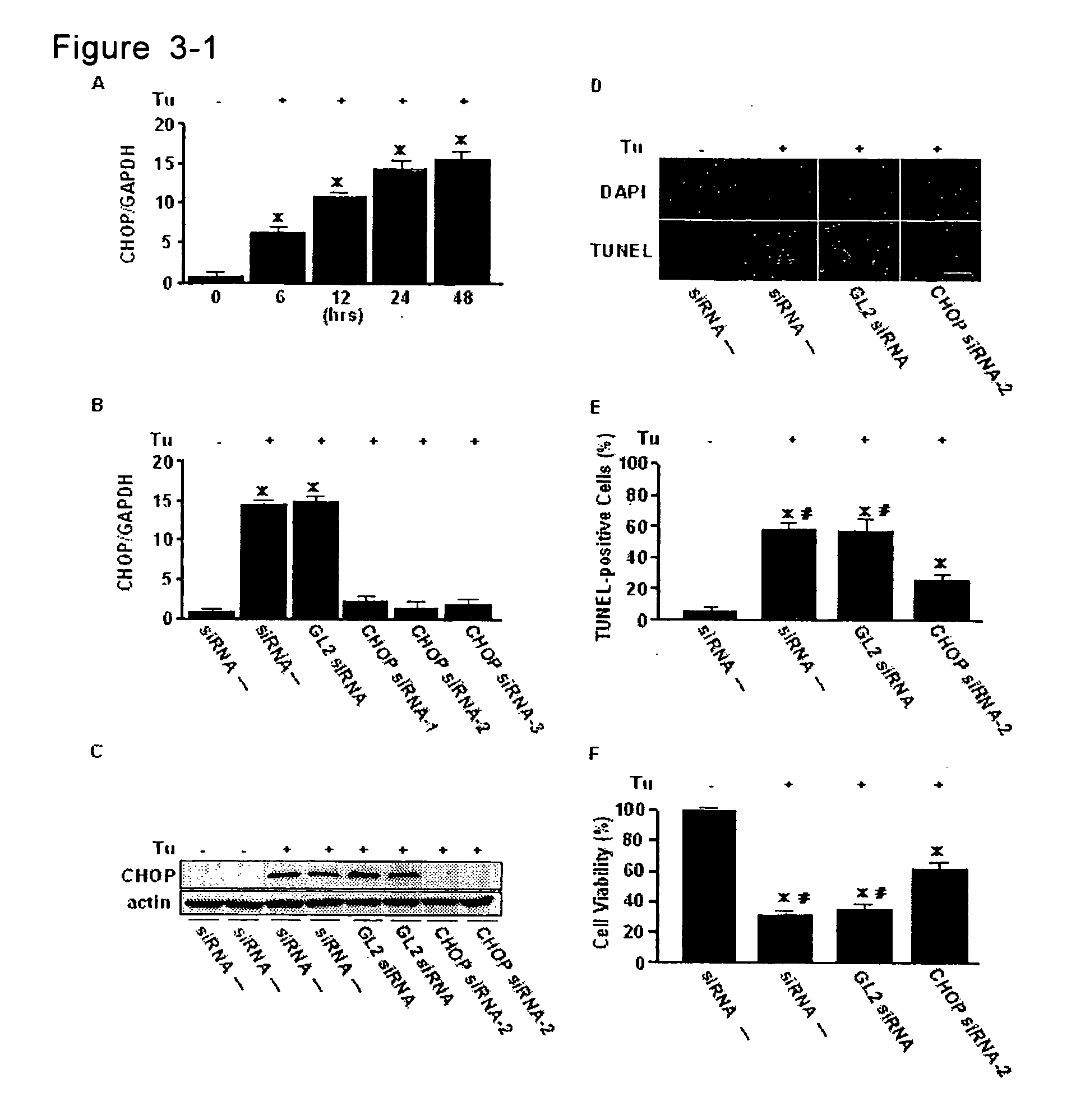 Method for diagnosis of heart failure