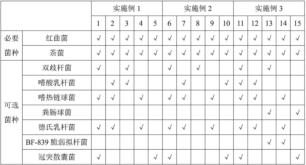 Composite monascus liquid and preparation method thereof