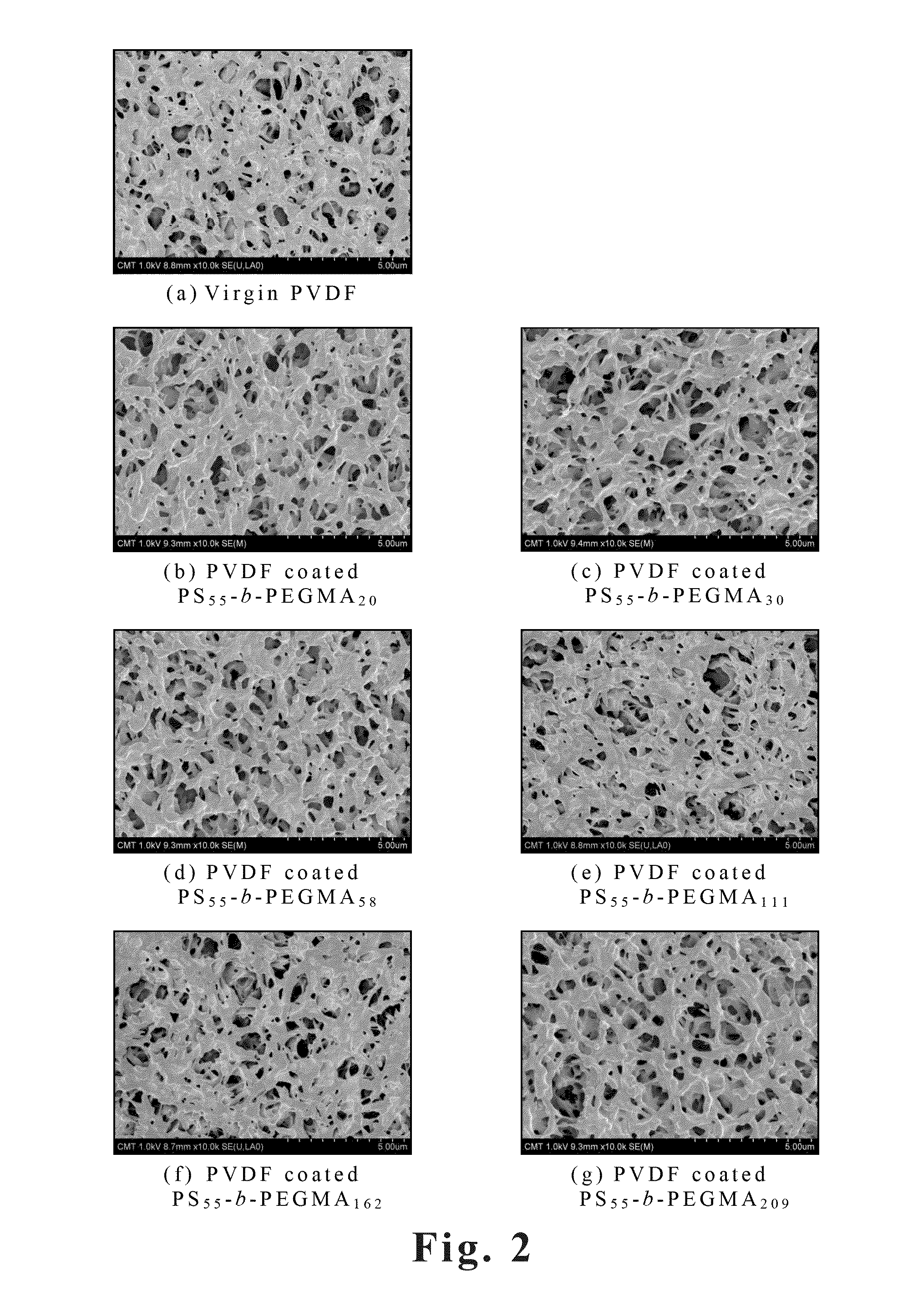 Anti-biofouling Membrane for Water-Treatment