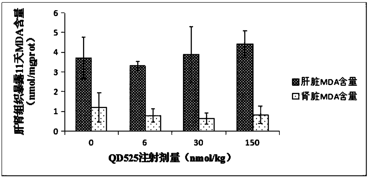 Detection method for oxidative stress functions of different organs of mice