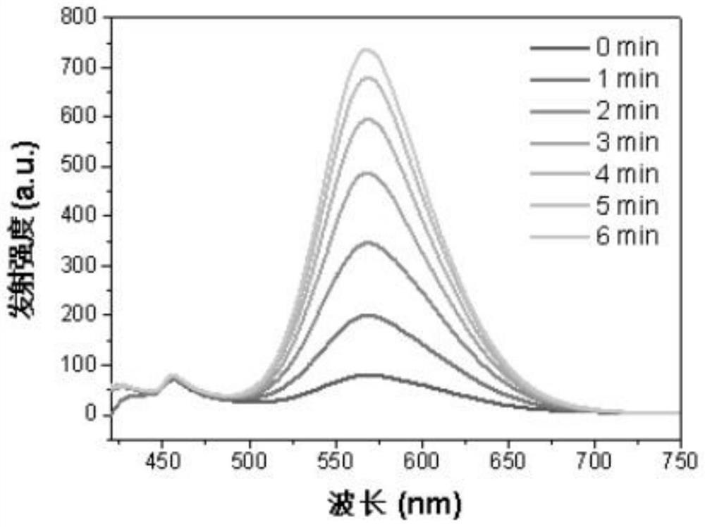 Iridium complex photosensitizer as well as preparation method and application thereof