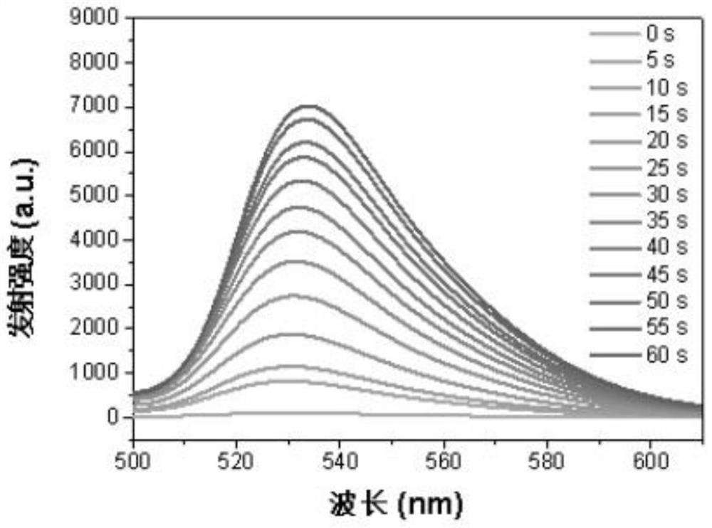 Iridium complex photosensitizer as well as preparation method and application thereof