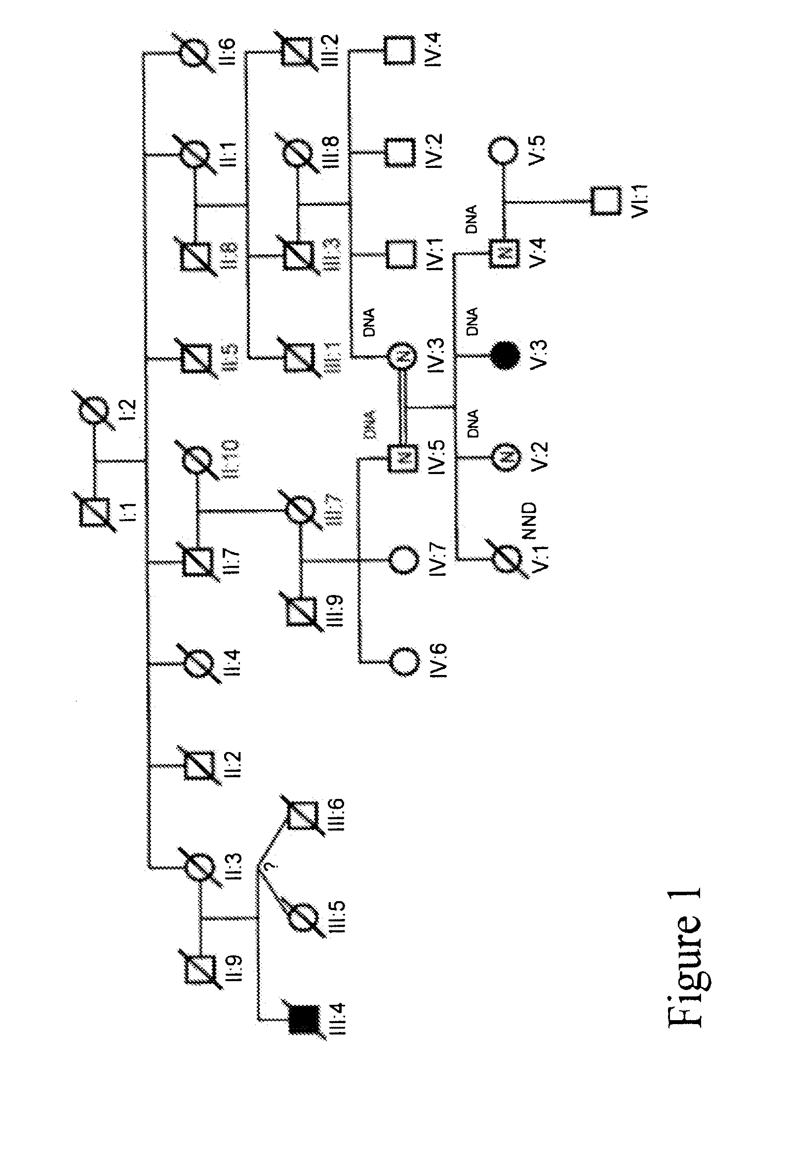 Methods for identifying analgesic agents