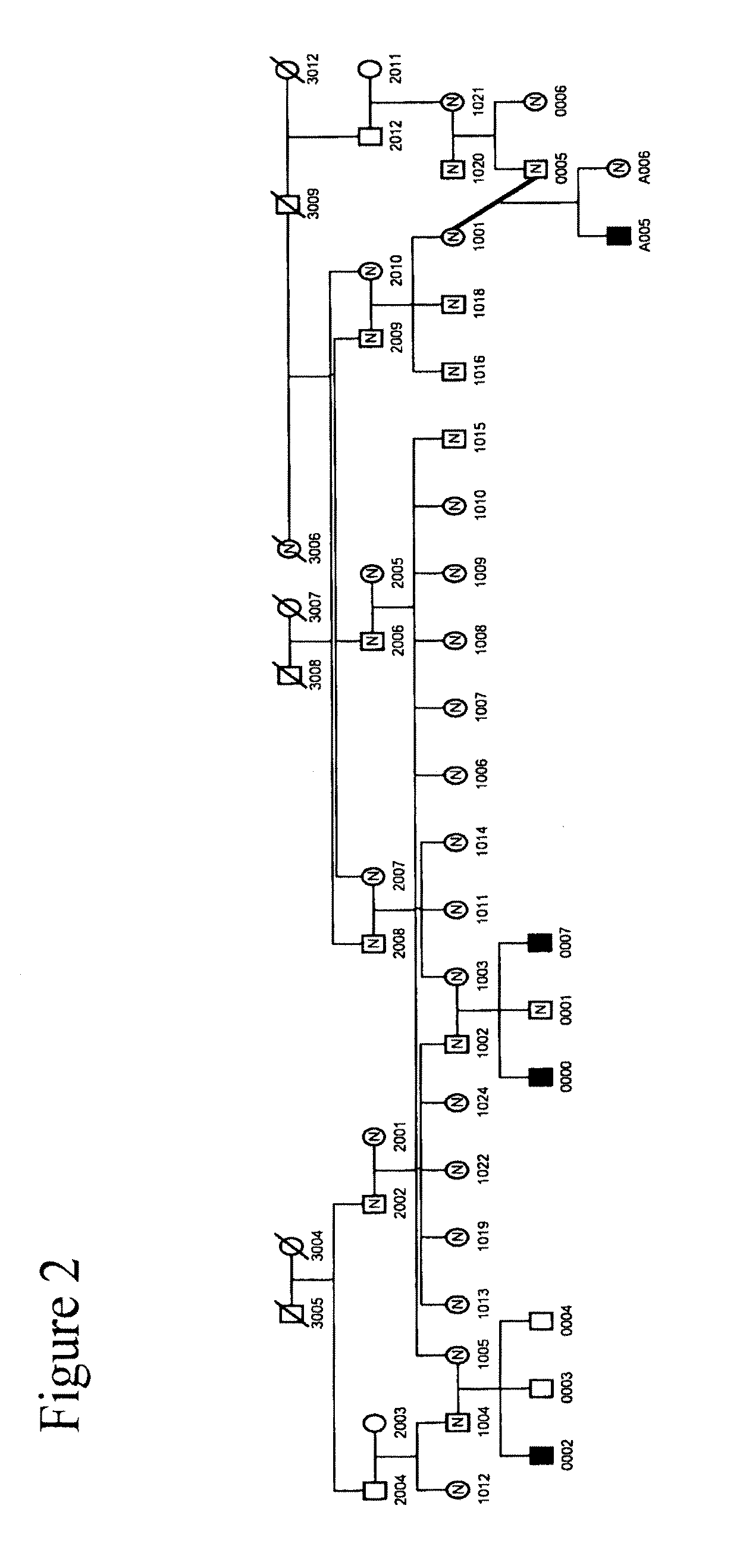 Methods for identifying analgesic agents