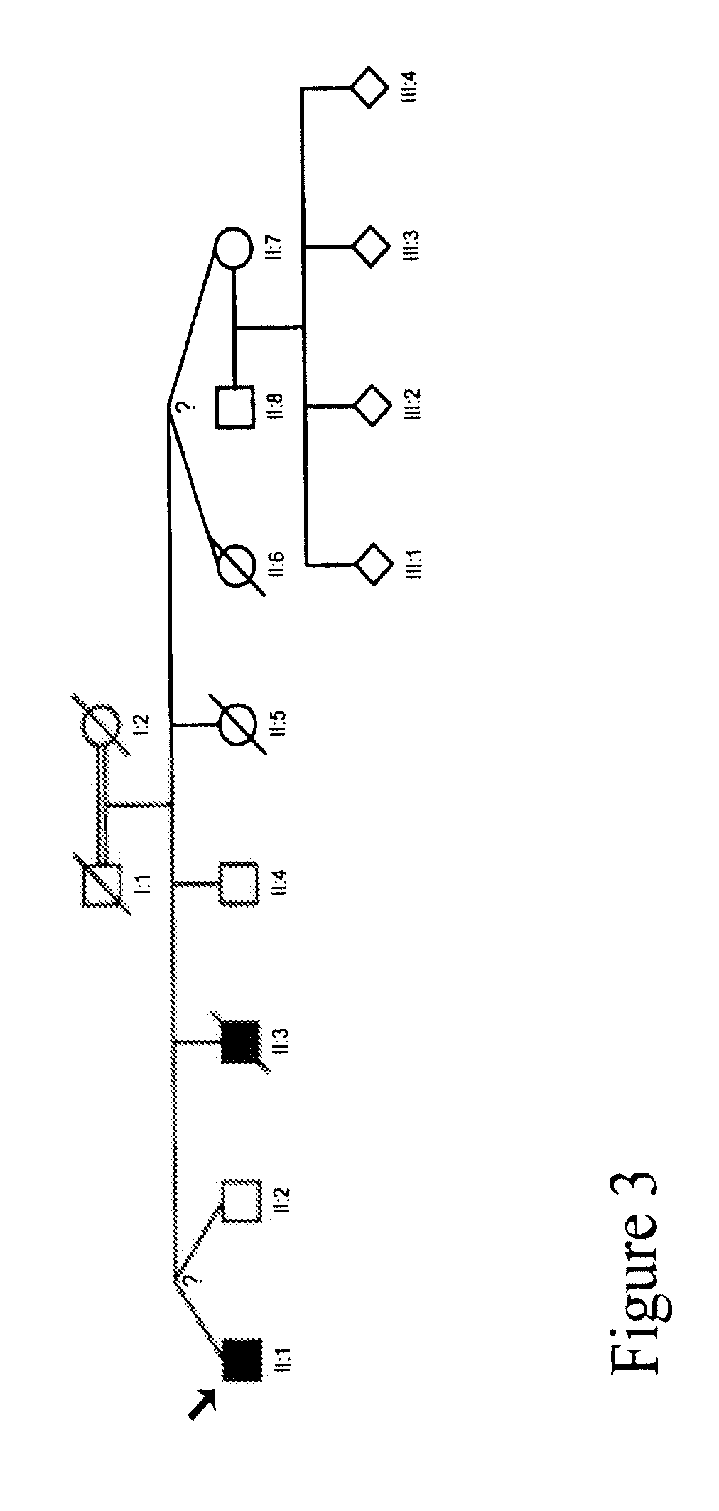 Methods for identifying analgesic agents