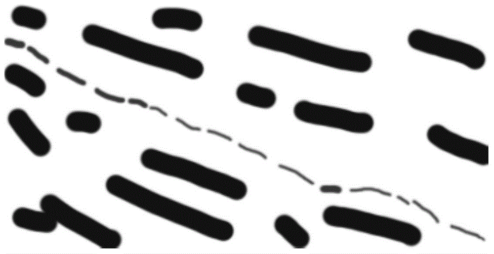 Segmentation method of sea surface oil spillage image