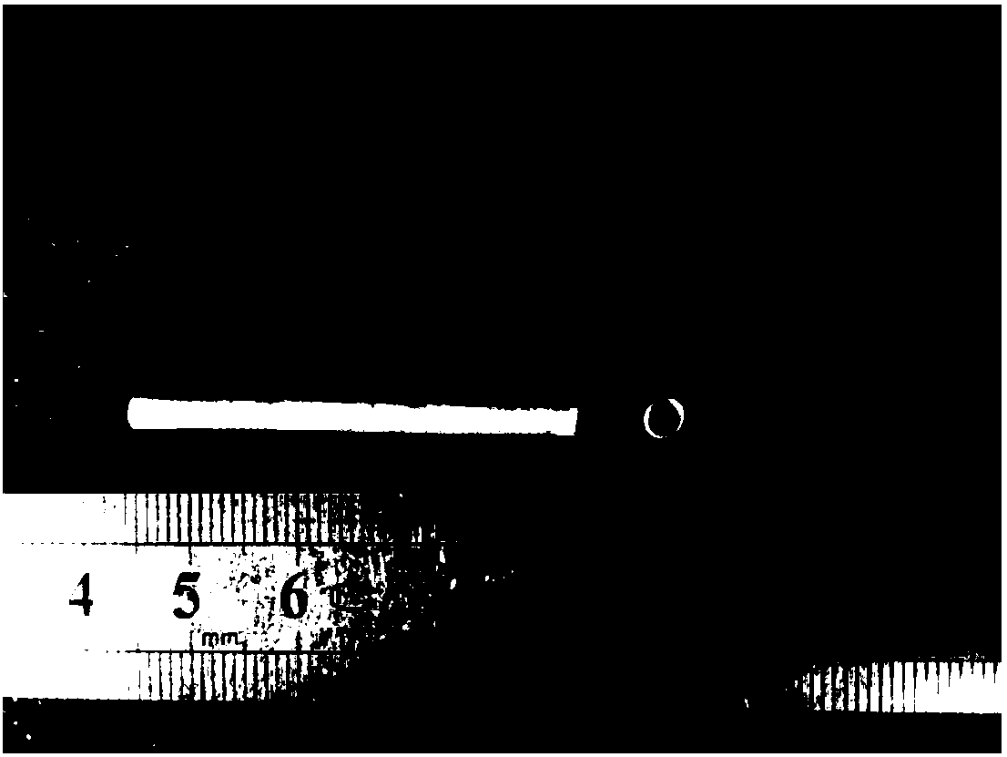 Novel biodegradation nerve conduit and preparation technology thereof