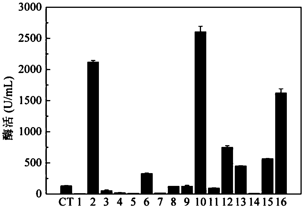 Promoter for heterologous expression of keratinase, and application thereof