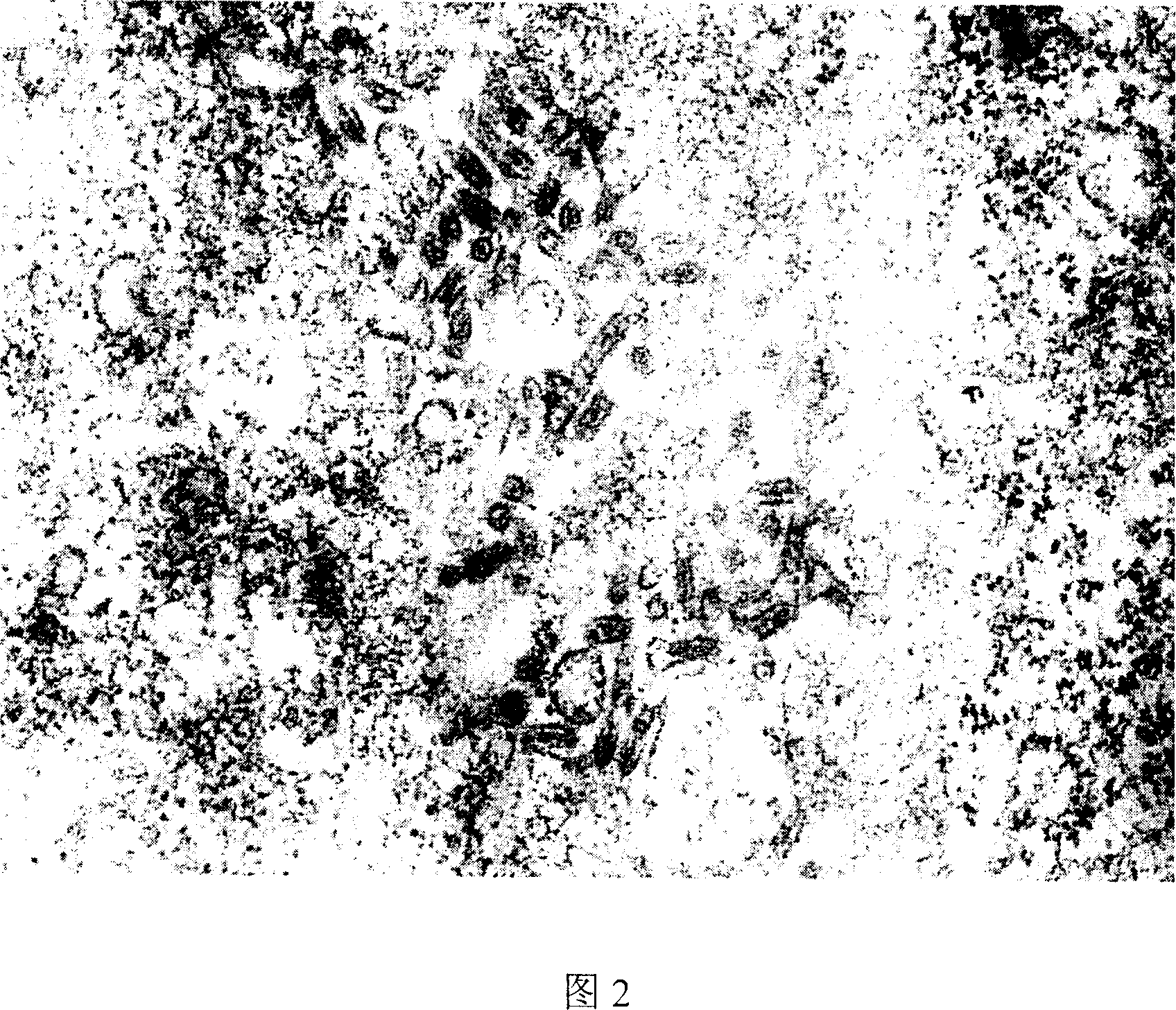 Mandarin fish rhabdo virus toxic strain, its preparation method and application