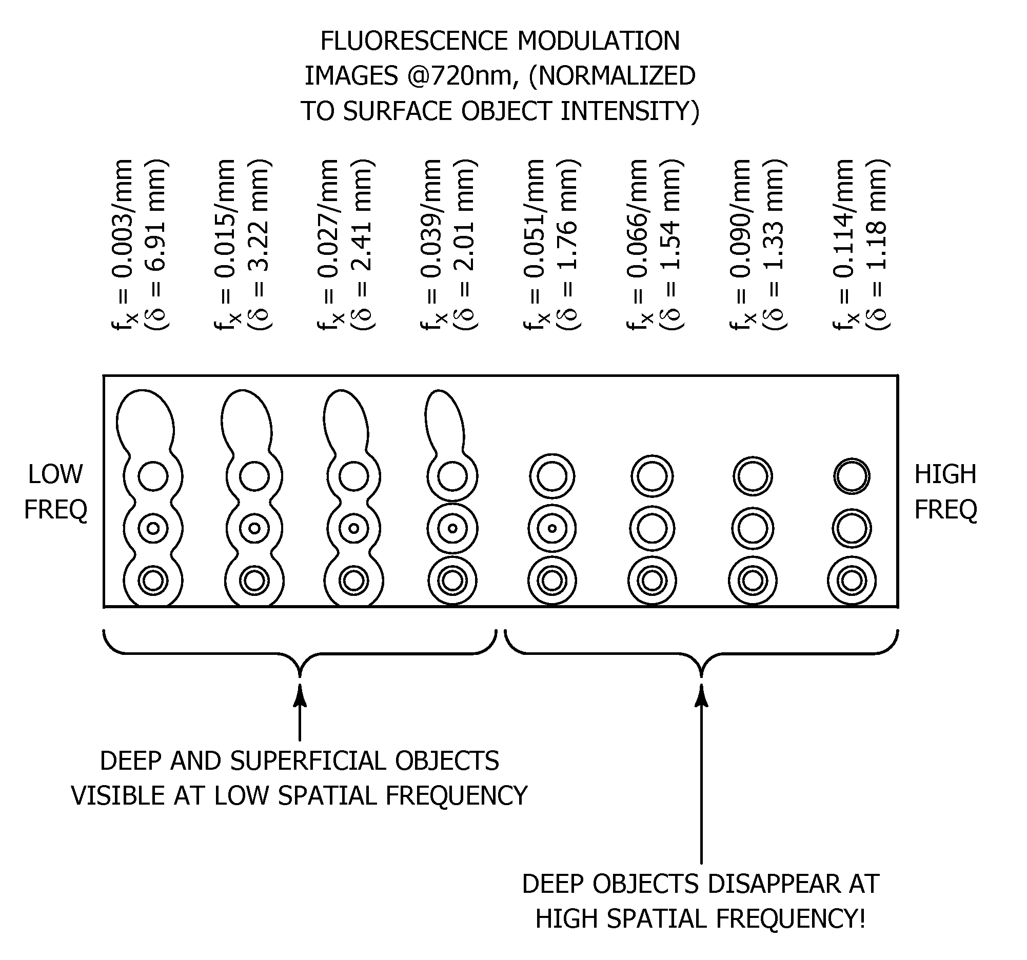 Method and apparatus for high resolution spatially modulated fluorescence imaging and tomography