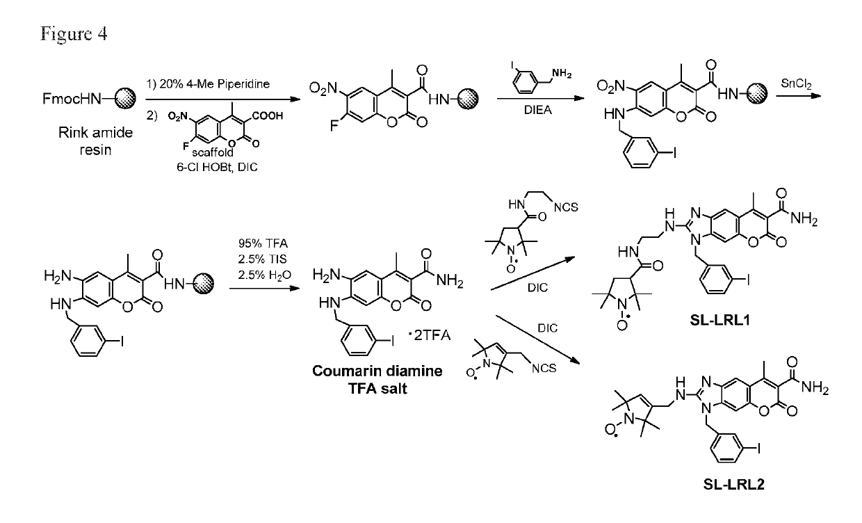 Nitroxide containing amyloid binding agents for imaging and therapeutic uses