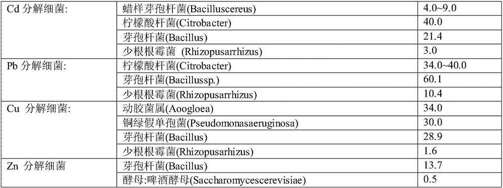 Heavy metal sludge soil restorer, preparation method and application thereof in sludge elimination