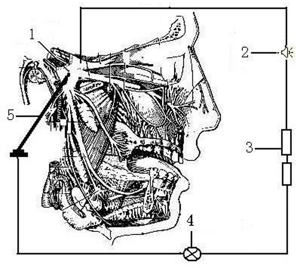 Preparation method of puncture specimen and puncture method