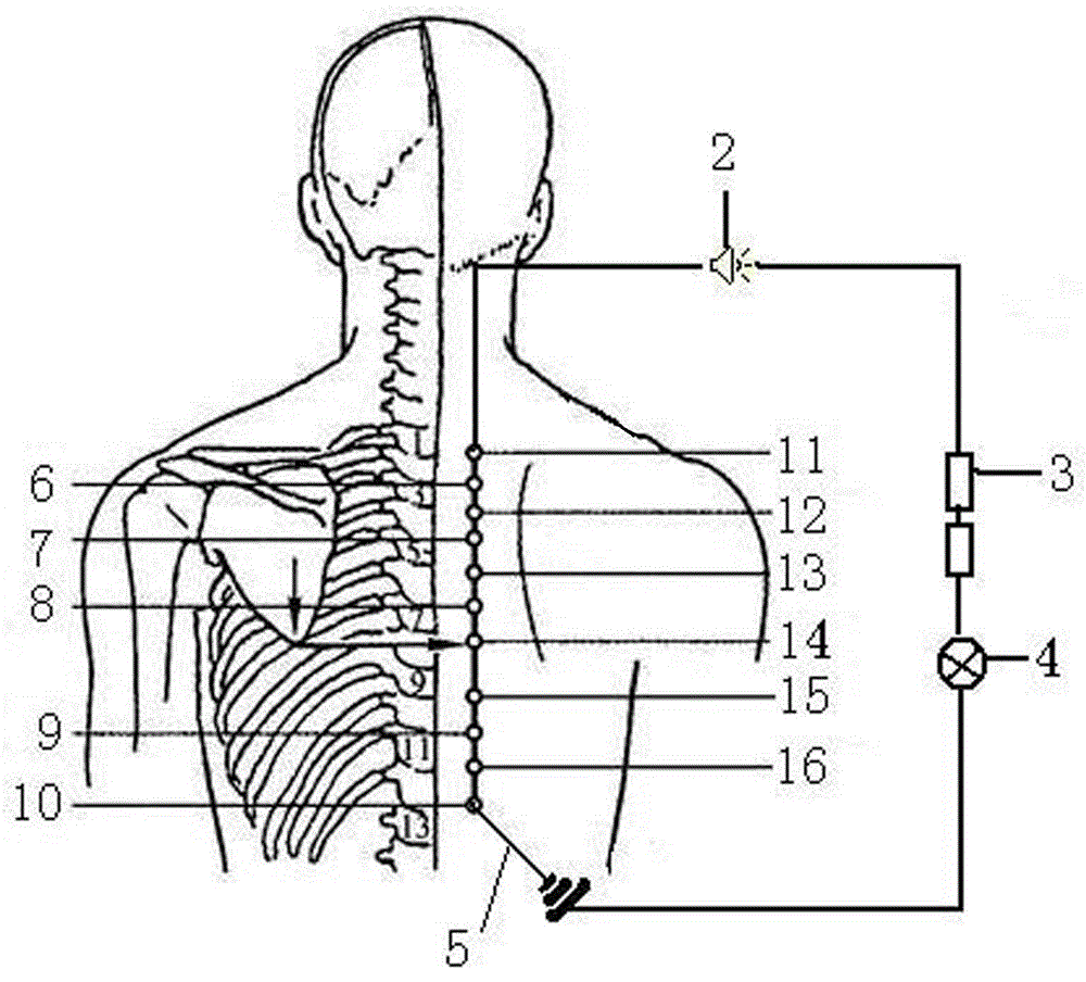 Preparation method of puncture specimen and puncture method