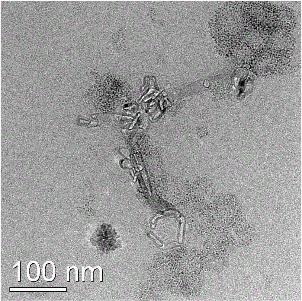 Carbon nano tube ionic liquid composite material, and preparation method and application thereof to remove carboxymethyl lysine in soy sauce brewing