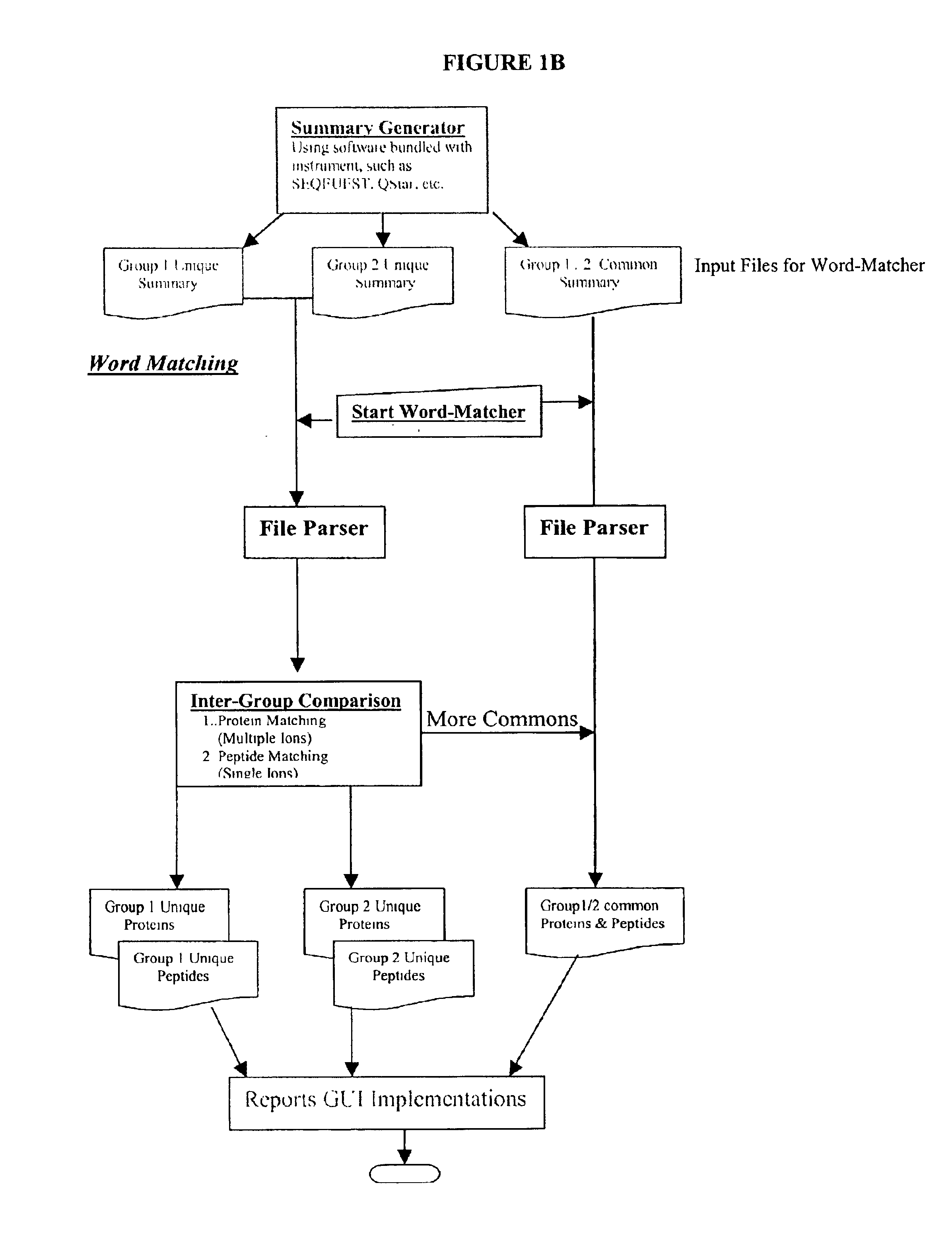 Amino acid sequence pattern matching